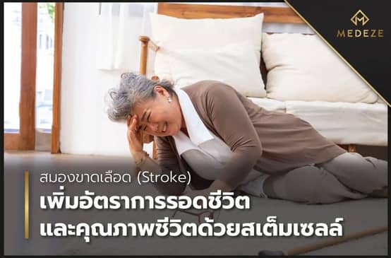 Slider image (1) Medeze Vietnam